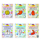 Flowchart Explorers Human Body STEM 6 Science Books Set (Brain, Digestive, Heart, Lungs) - Lets Buy Books