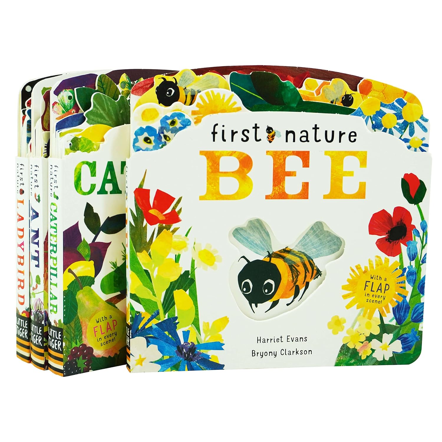 First Nature 4 Books Childrens Collection Set (ANT, BEE, CATERPILLAR & LADYBIRD) - Lets Buy Books